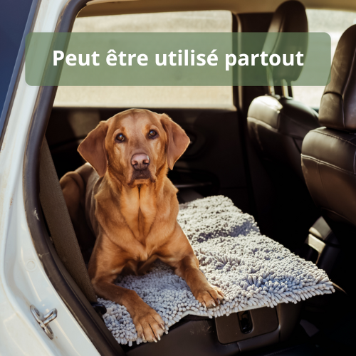 Tapis Ultra-Absorbant