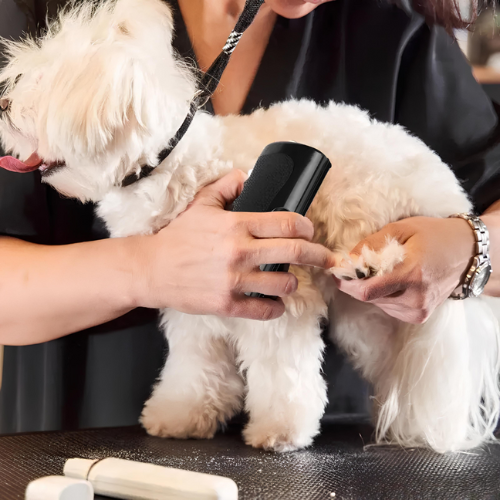 Brosse miracle pour poils – Notre produit phare