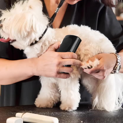 Brosse miracle pour poils – Notre produit phare