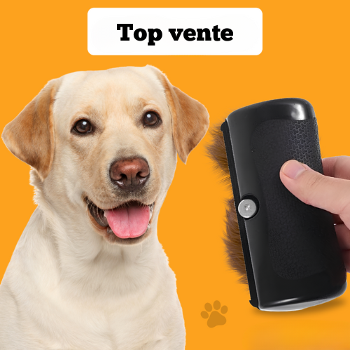 Brosse miracle pour poils – Notre produit phare