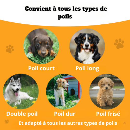 Brosse miracle pour poils – Notre produit phare