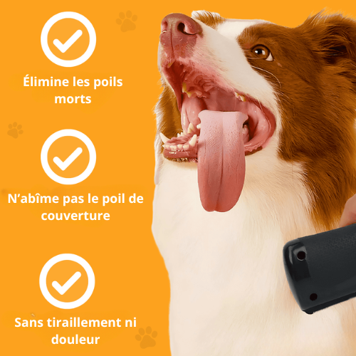 Brosse miracle pour poils – Notre produit phare