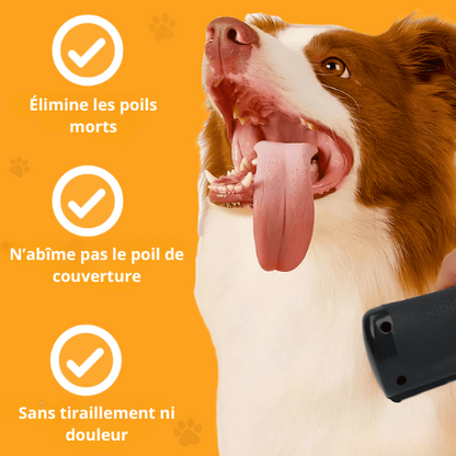 Brosse miracle pour poils – Notre produit phare